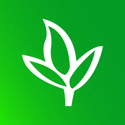GL Ministries Cheats