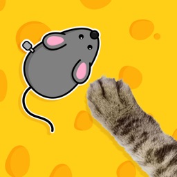 Games for cats : Catching mice