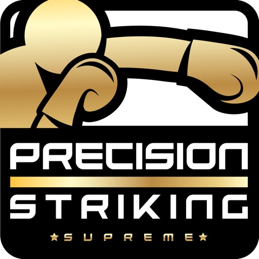 PrecisionBoxingCoachPro