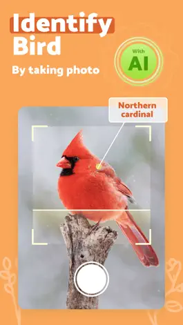 Game screenshot BirdScan - Identify Bird mod apk
