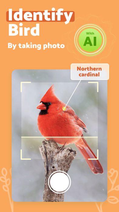 BirdScan - Identify Bird Screenshot