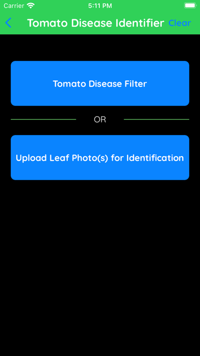 Tomato Disease Identifier Screenshot