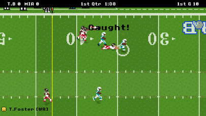 screenshot of Retro Bowl 8