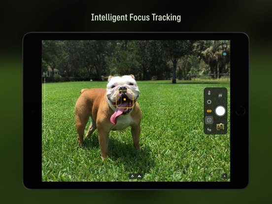 Camera M - Handmatige camera iPad app afbeelding 4