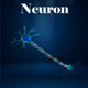 Learn Neuron