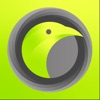 Waitbird (customer/patient) icon