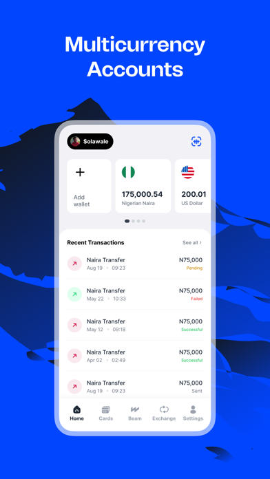 Wirepay - Global Payment Screenshot