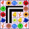 Icon Onnect Flowers Match Puzzle