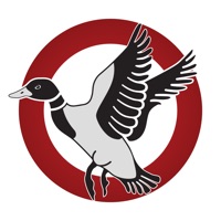 Duck Tech logo