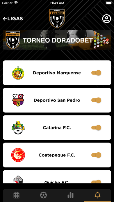 Primera División Guatemala Screenshot