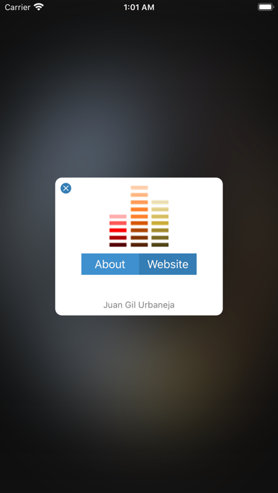 TopMusicSearch Screenshot