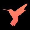 Birdict - smart dictionary icon