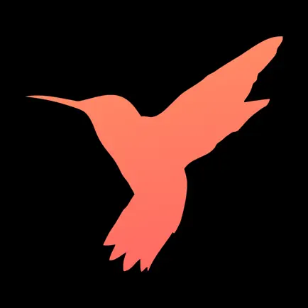 Birdict - учи языки легко Читы