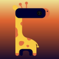 Wallpaper HD - Dynamic Island