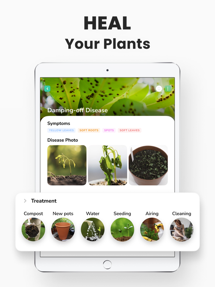 Plant Identifier - PlantMe