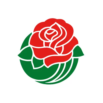 Rose Parade 2024 Cheats