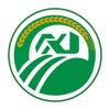 熹浓纪 icon