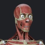 Download Anatomy Reference Guide app