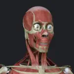 Anatomy Reference Guide App Contact