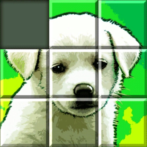 Grid Puzzles icon