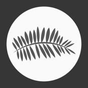 Папараць Кветка | Барановичи