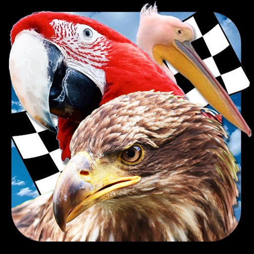 Bird Race 3D icon