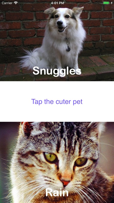 Cute Pets Analytic screenshot 4