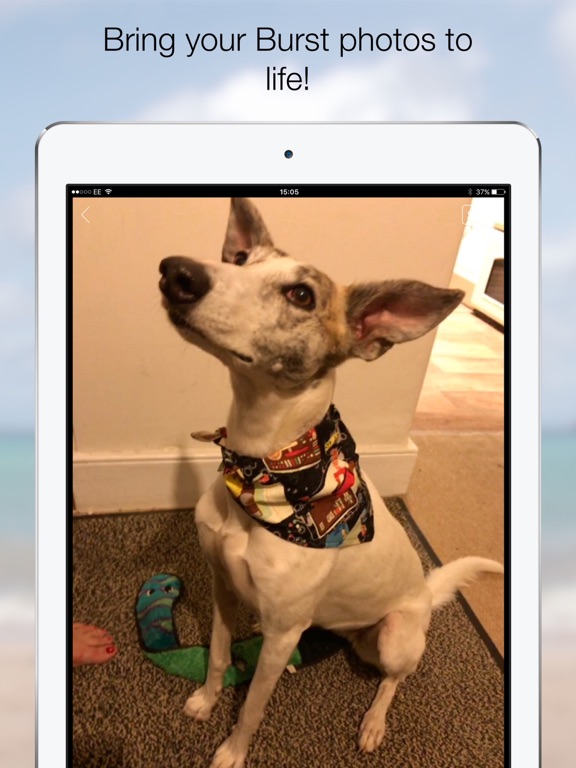 Screenshot #5 pour Burst - Animate your photos