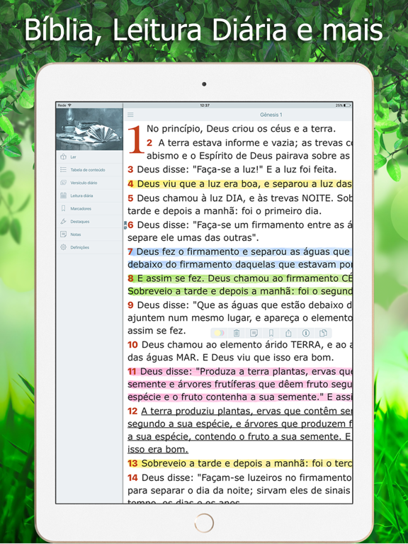 Screenshot #5 pour Bíblia Ave Maria de Estudo