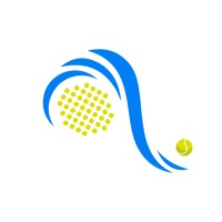 Viento Austral logo