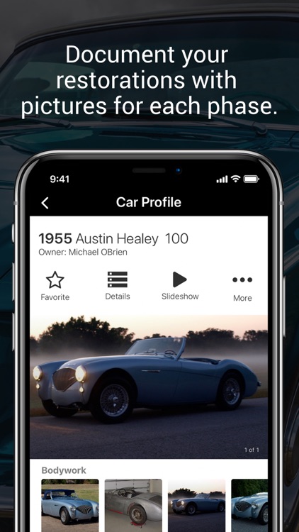 iON Classic screenshot-3