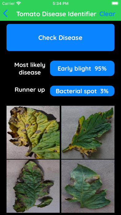 Tomato Disease Identifier Screenshot