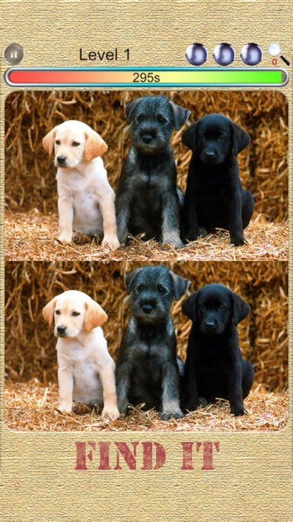 Findit - 200 Pictures screenshot-3