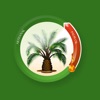 Artisanal Palm App