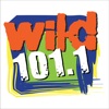 Wild 101.1 icon