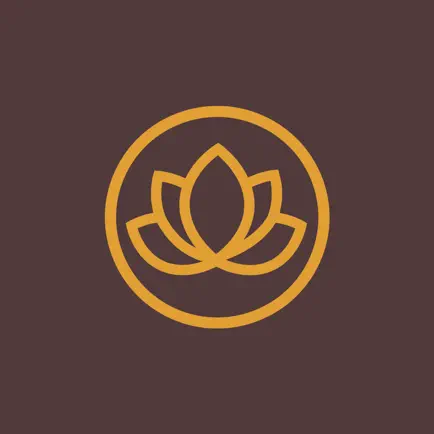 Vidya Studio Читы