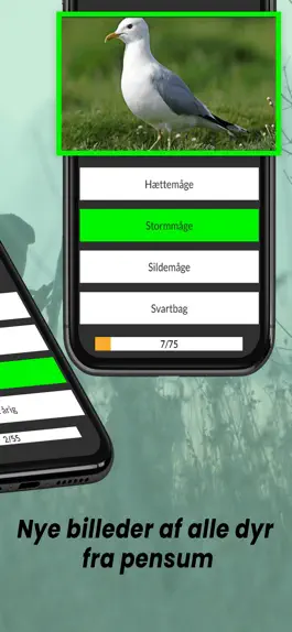 Game screenshot JagtQuiz - Jagttegn Danmark apk