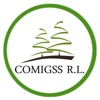 COMIGSS, R. L. icon