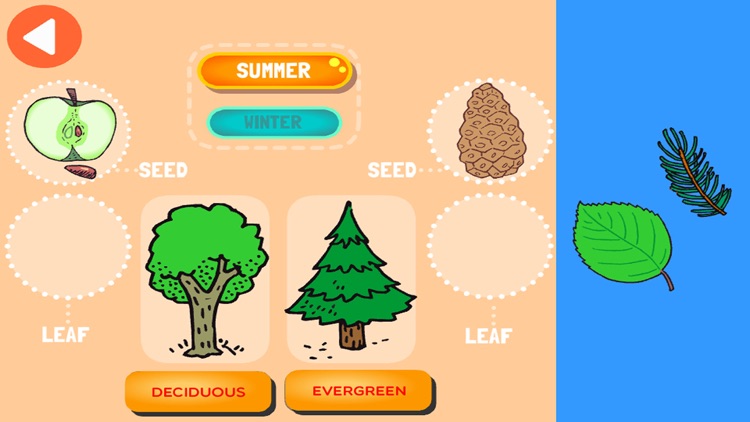 Science Adventure KS1 Year 1 screenshot-4