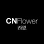 CNFlower西恩| CNShop線上商店 app download
