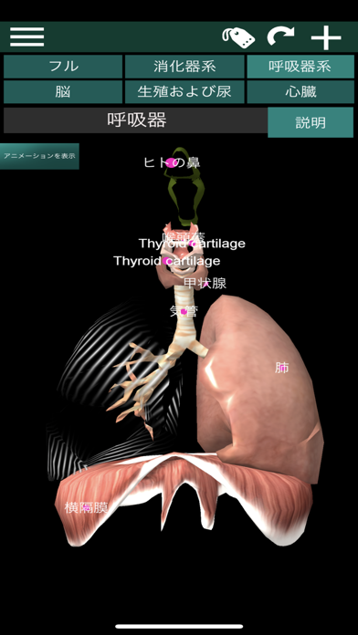 3D内臓（解剖学）のおすすめ画像3