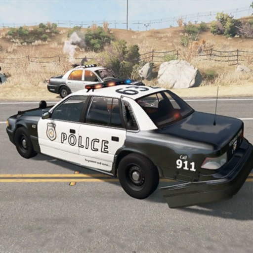 Police Car Simulator: Cop Duty