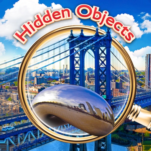 Hidden Object New York Chicago icon