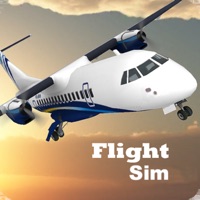 Flight Sim 2024