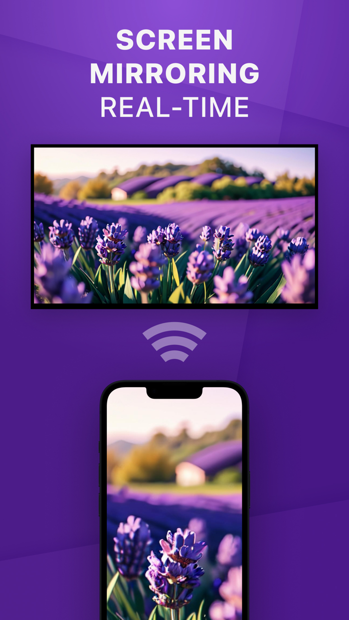 Universal TV Remote Control 