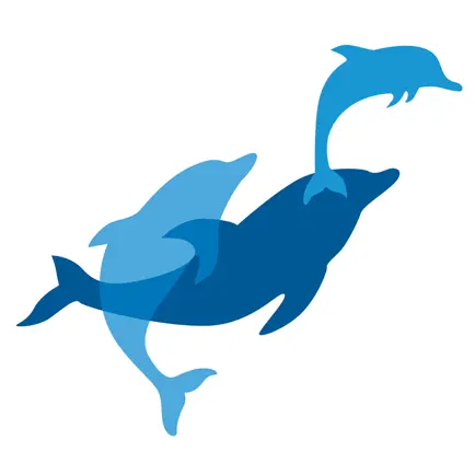 Jefferson Elementary Читы