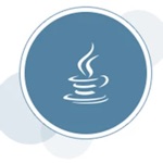 Download Java SE 16 API Specification app