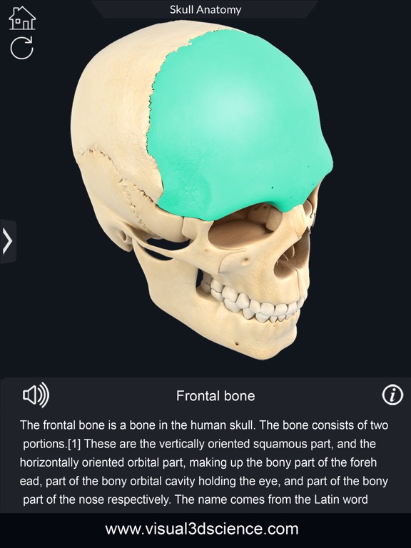 My Skull Anatomyのおすすめ画像5