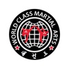 World Class Martial Arts icon