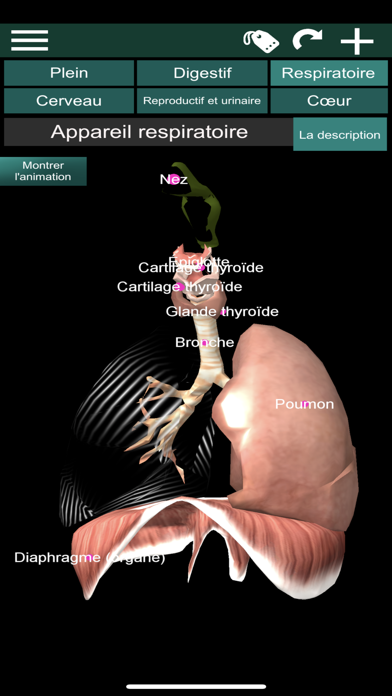Screenshot #3 pour Organes 3D (Anatomie)